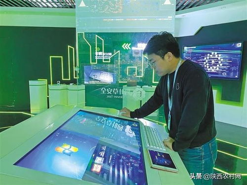 走近高新技术企业四叶草安全 构筑网络防线，赋能企业技术服务新生态